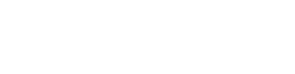 Reform Essex Logo White